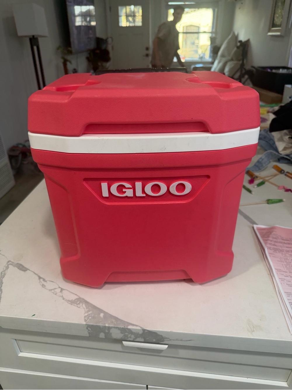 Pink Igloo Cooler